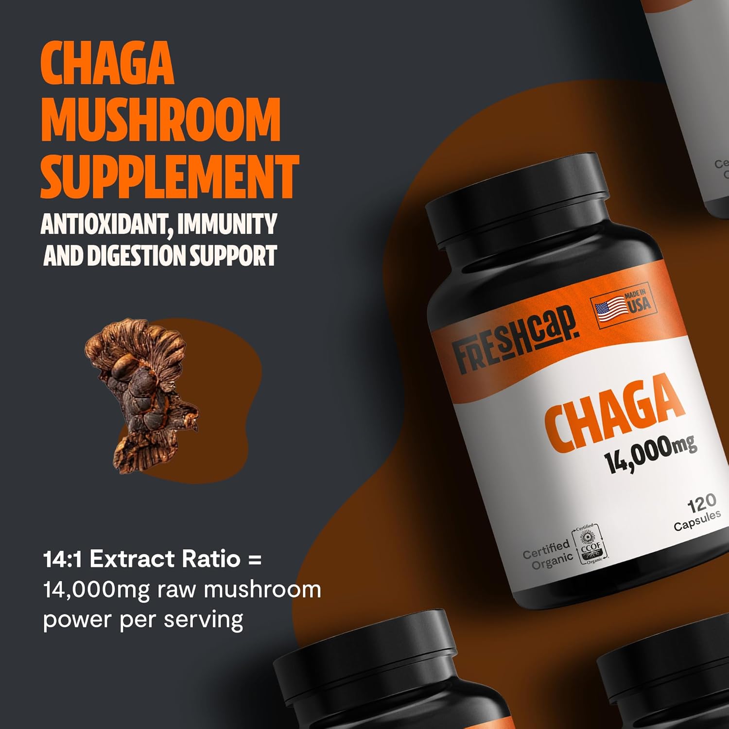Cápsulas de setas Chaga: antio - Tulsi Holy Basil reseña y precio