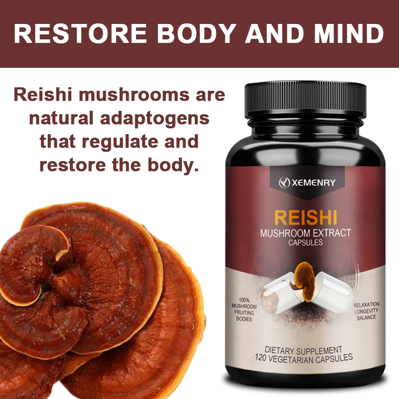 Cápsulas de Reishi: alivia el  - Tulsi Holy Basil reseña y precio