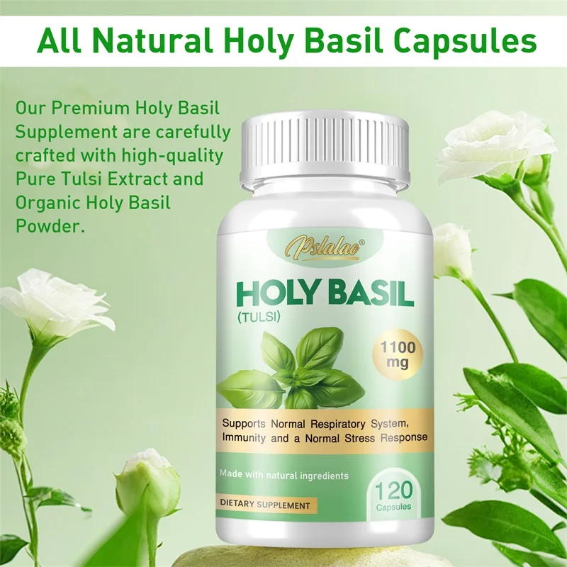 Cápsulas de albahaca sagrada:  - Tulsi Holy Basil reseña y precio
